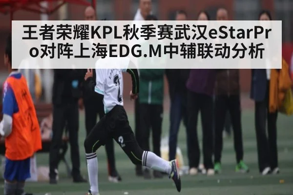 王者荣耀KPL秋季赛武汉eStarPro对阵上海EDG.M中辅联动分析 | kaiyun