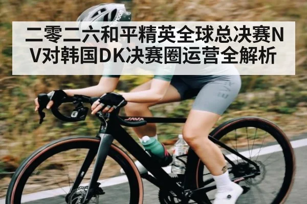 二零二六和平精英全球总决赛NV对韩国DK决赛圈运营全解析 - kaiyun