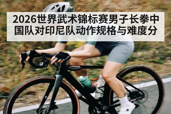 2026世界武术锦标赛男子长拳中国队对印尼队动作规格与难度分 - kaiyun
